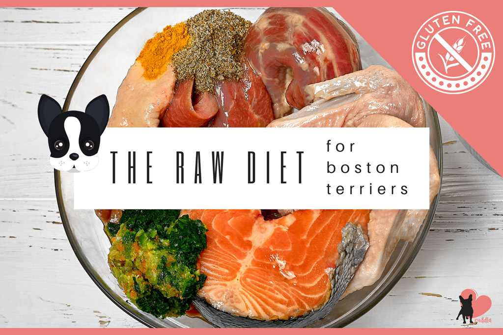 best raw food for boston terrier