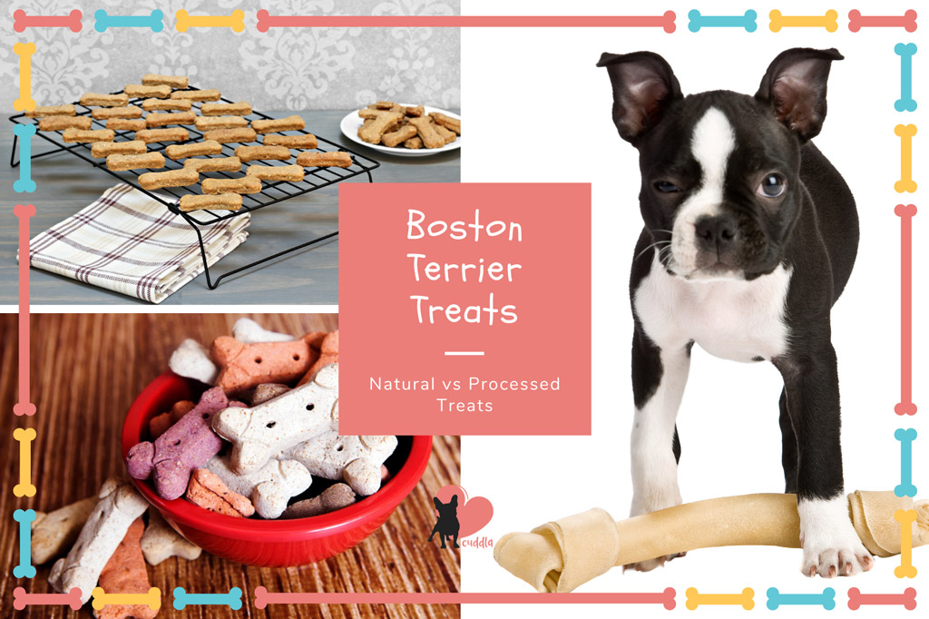 best treats for boston terrier puppies