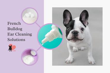 are french bulldogs prone to ear infections