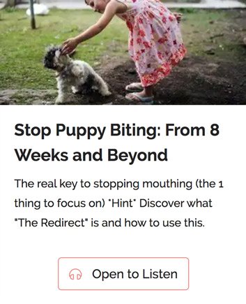 cuddla-the-better-dog-behaviour-jumpstart-nipping-course cuddla-the-better-dog-behaviour-jumpstart-nipping-course