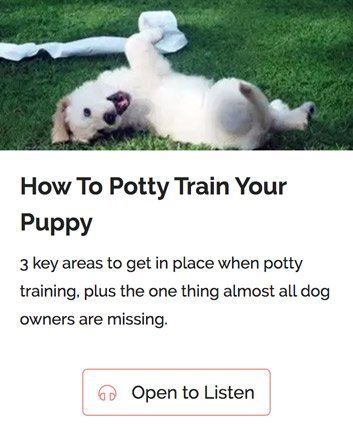 cuddla-the-better-dog-behaviour-jumpstart-potty-course cuddla-the-better-dog-behaviour-jumpstart-potty-course