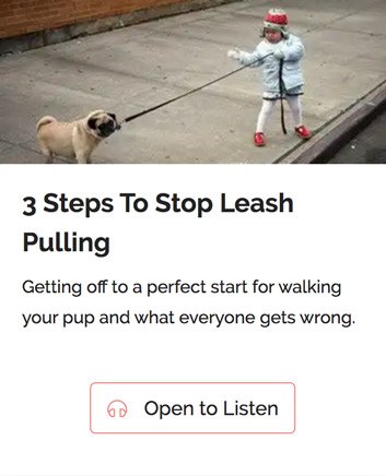 cuddla-the-better-dog-behaviour-jumpstart-pulling-course cuddla-the-better-dog-behaviour-jumpstart-pulling-course