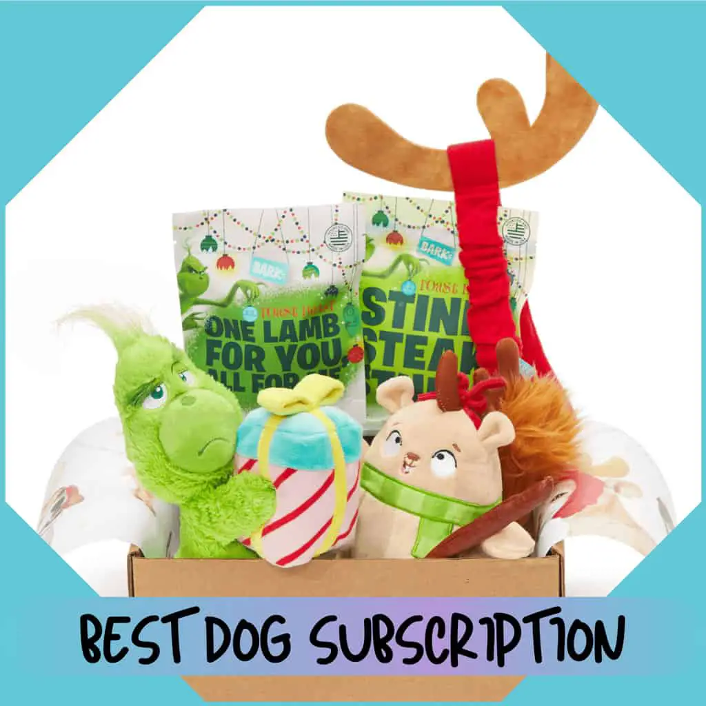 cuddla-best-dog-subscription