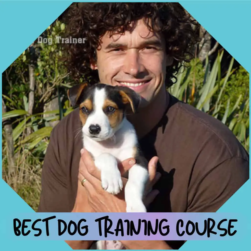 cuddla-best-dog-training-course