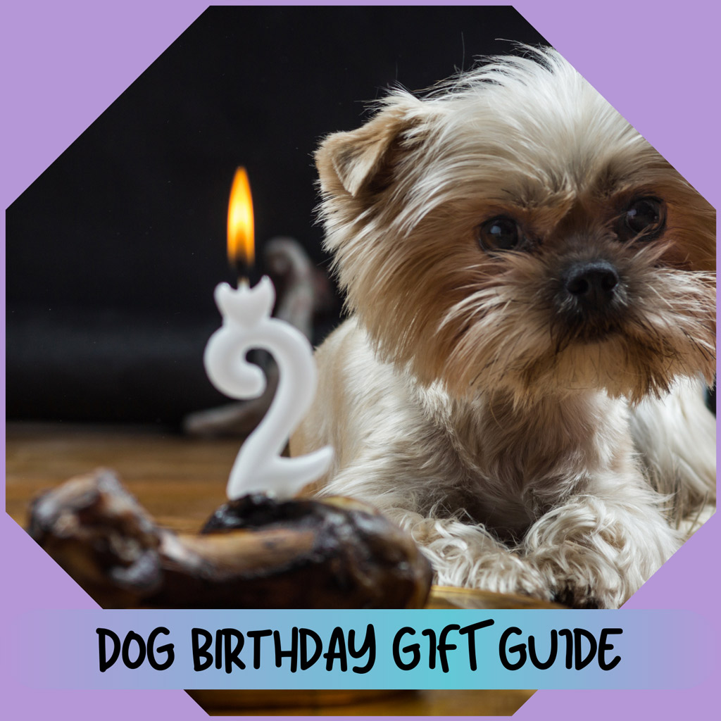 Dog Birthday Gift Ideas For Her