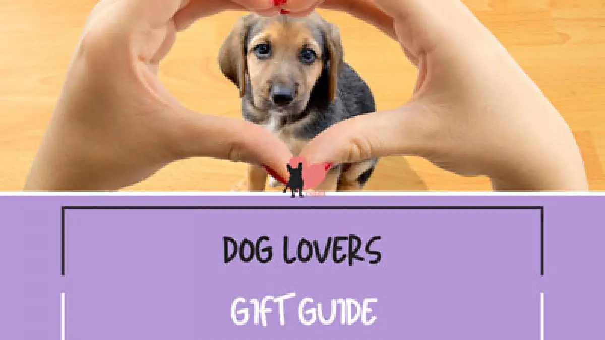 Greyhound Rules Humour Jumbo Fridge Magnet Ideal Dog Lover Birthday Gift M139