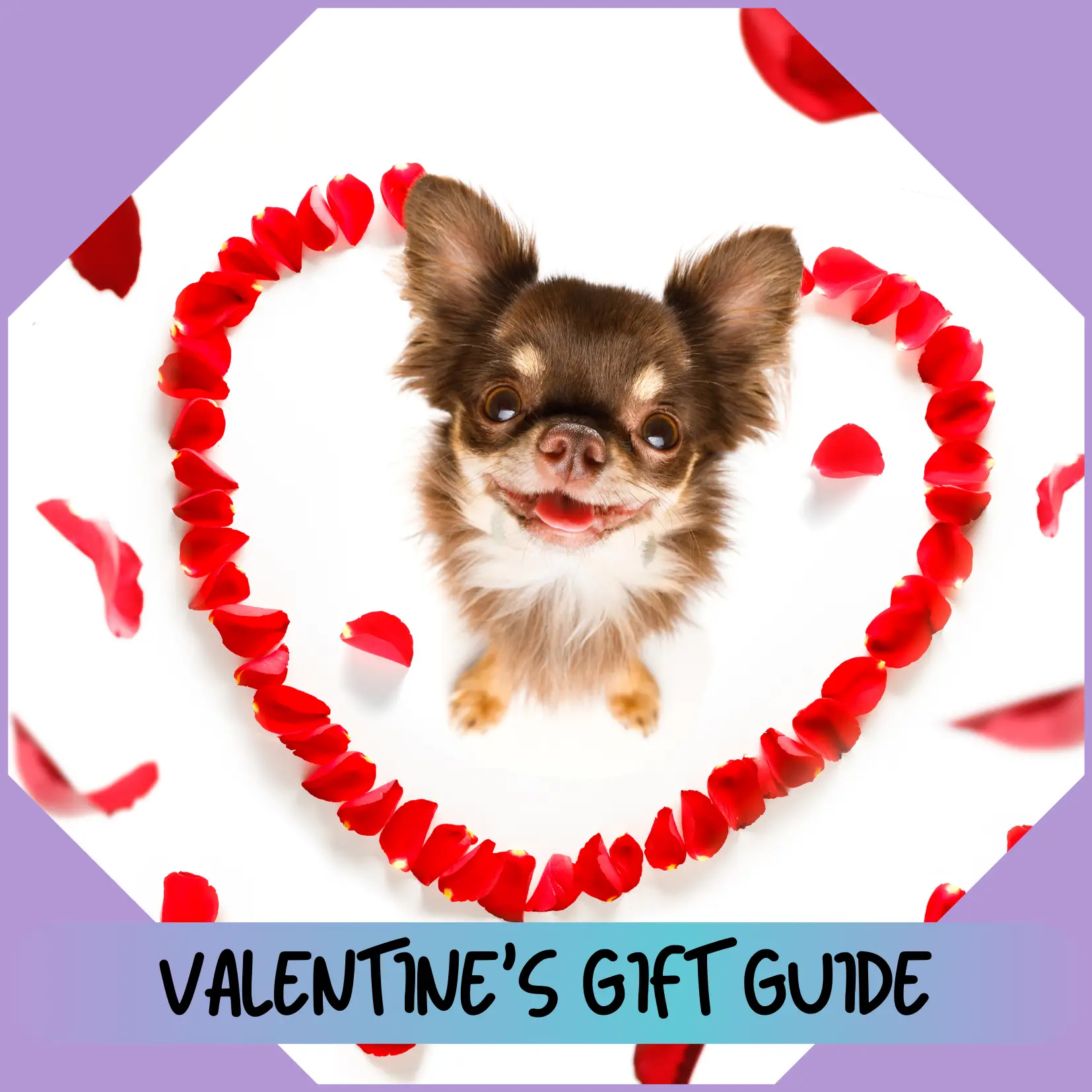 cuddla-dog-gift-ideas-for-valentine