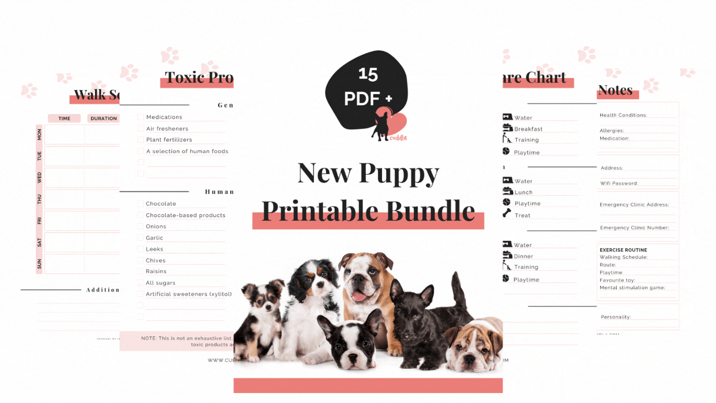 Cuddla-New-Puppy-Printable-Bundle_All-Colors-Display